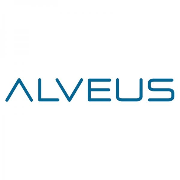 Alveus